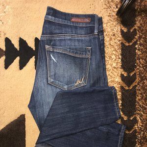 Express Distressed Skinny Jeans Size 4 Long